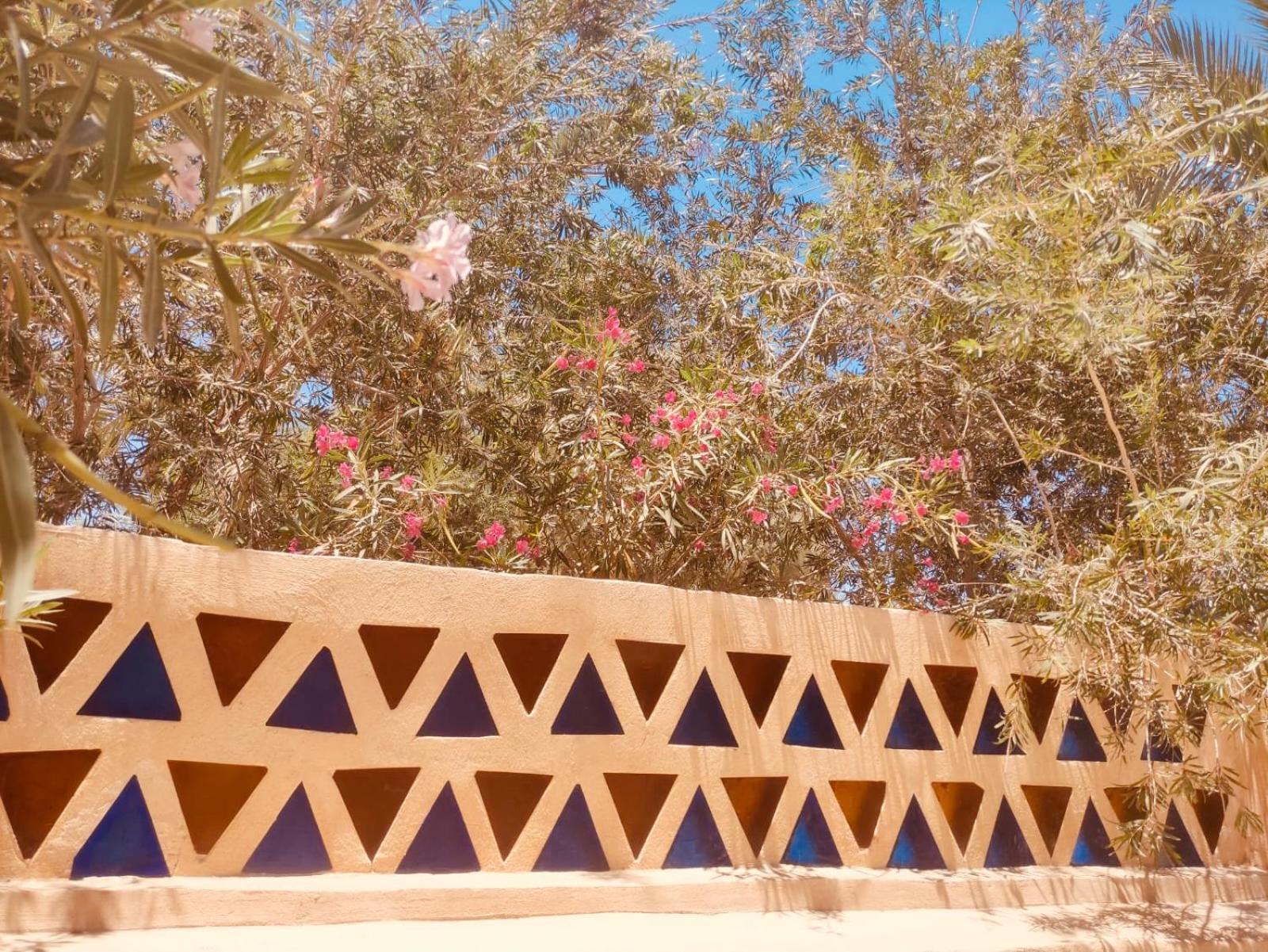 Lemon Tree Villa Tunis Luaran gambar